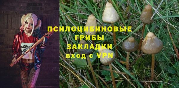 экстази Белокуриха