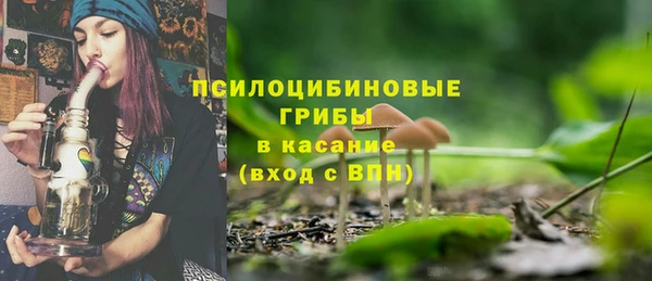 экстази Белокуриха