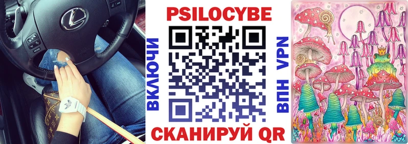 Псилоцибиновые грибы Magic Shrooms  закладка  Горняк 